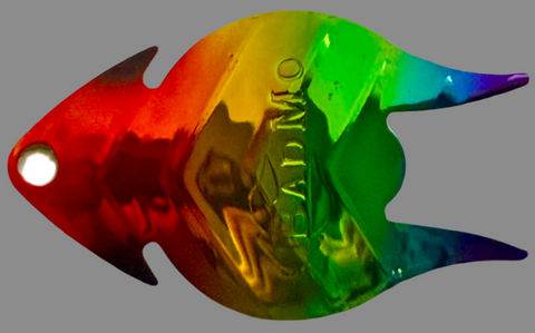 ROY G BIV
